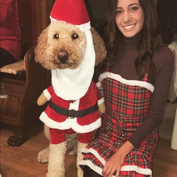 New Revolve Enza Costa rib knit turtleneck long sleeve bodycon mini dress